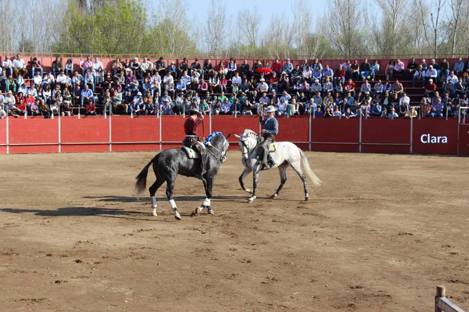 I Feria Internacional del Toro en Coria