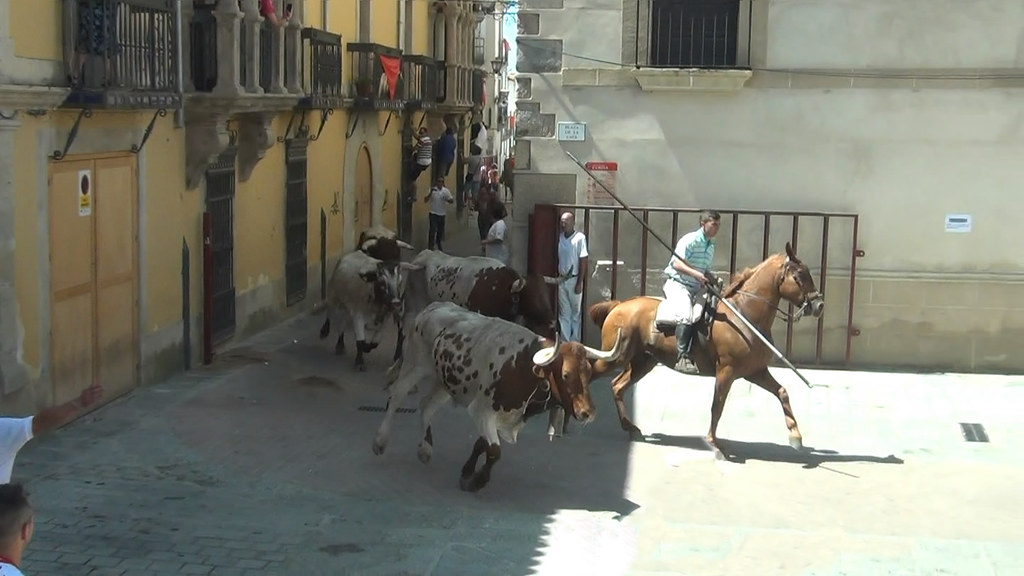 Abierto el plazo para la inscripción de jinetes en el tradicional traslado de bueyes a caballo dentro de las Fiestas de San Juan 2022