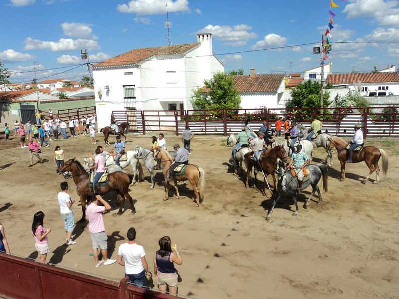 Subasta del Bar ubicado en la Zona de la Plaza de Toros en las Fiestas de la Puebla de Argeme 2014
