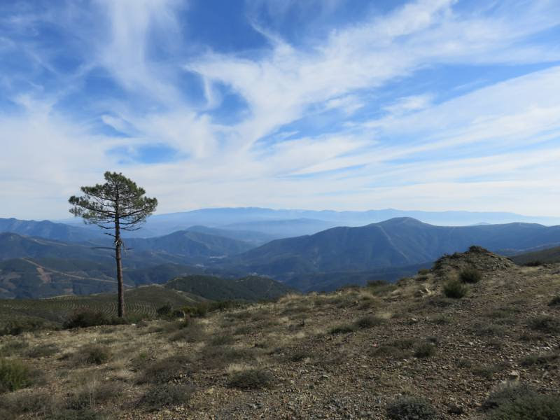 Ruta Senderista: «Lombo de las Viñas-El Gasco».