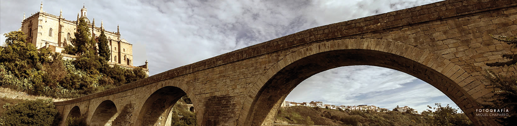 VII Día conmemorativo de las Catedrales