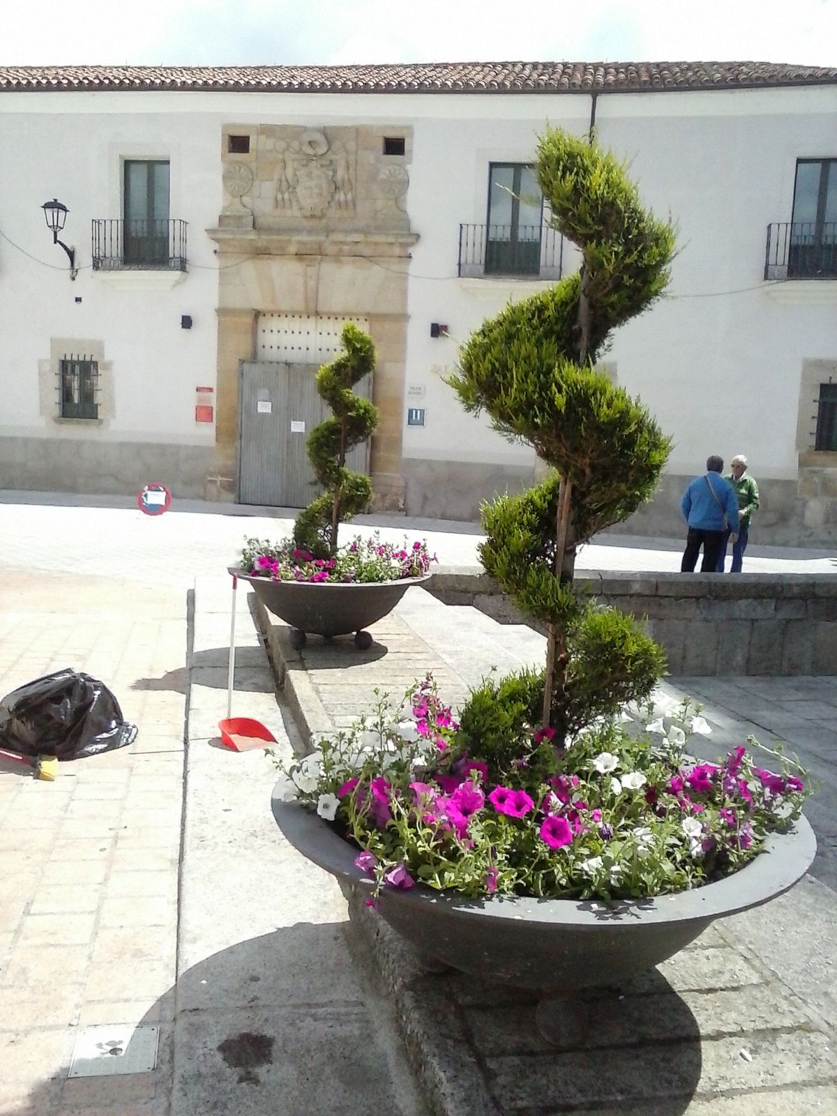Desaparecen dos setos de arte topiario en el mirador de la Catedral