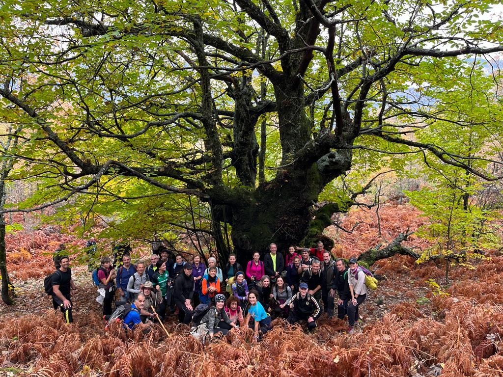 43 Senderistas se dieron cita en la rura «Asperilla-Era de San Bernabé»