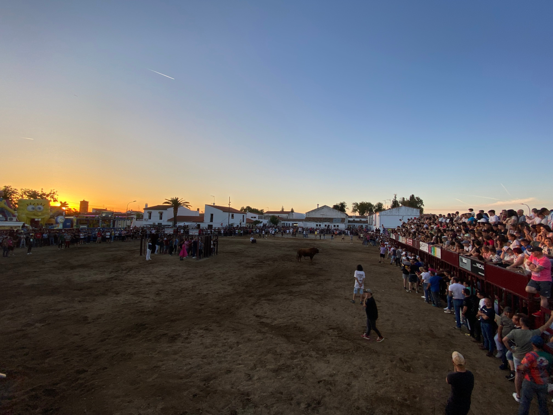 El Ayuntamiento saca a licitación la concesión del servicio de barra de la carpa para el Festival de las Flores y las Fiestas Patronales de Rincón del Obispo