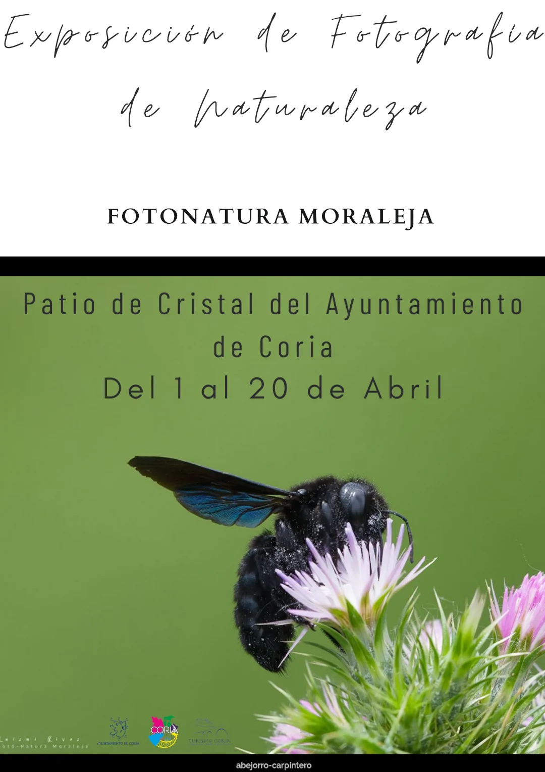 Exposición de Fotografía de Naturaleza